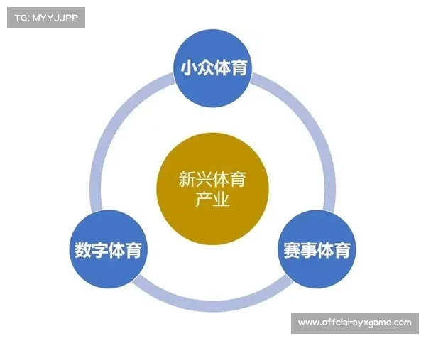 体育产业规划加速实施带动足球领域经济实现显著增长 体育产业规划加速实施带动足球领域经济实现显著增长
